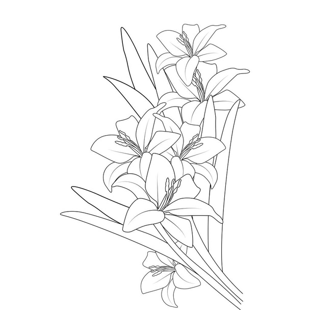 lily flower vector graphic line art design for coloring book page illustration - Vector, Image