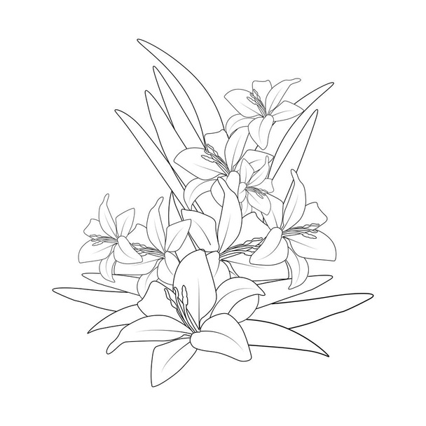 liliom virág vektor grafikus vonal művészet design színező könyv oldal illusztráció - Vektor, kép