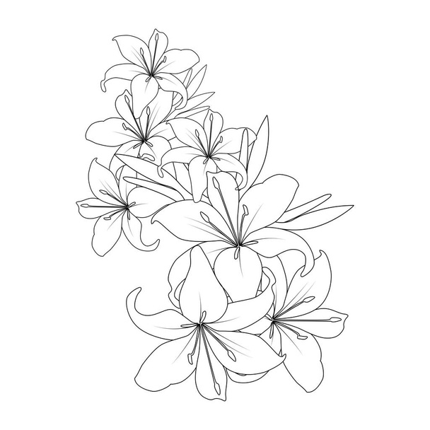 lily flower vector graphic line art design for coloring book page illustration - Vettoriali, immagini