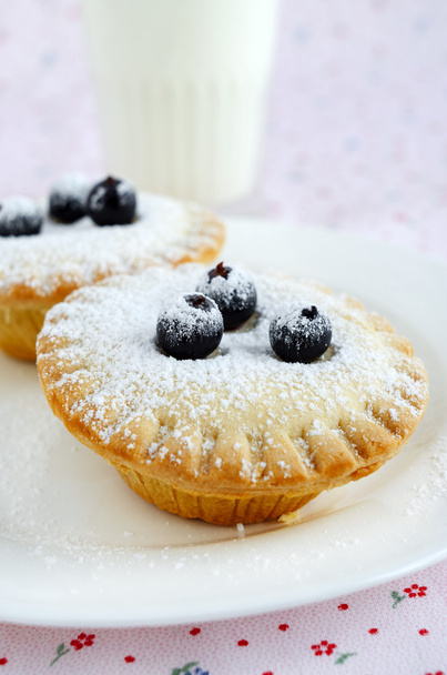 Homemade mini cakes with berries and icing sugar - Foto, immagini