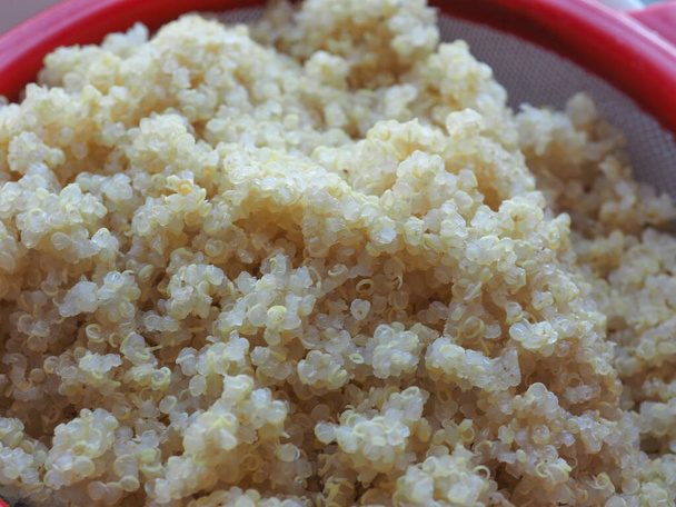 quinoa scientific name Chenopodium gluten free edible seeds cereals food - Φωτογραφία, εικόνα