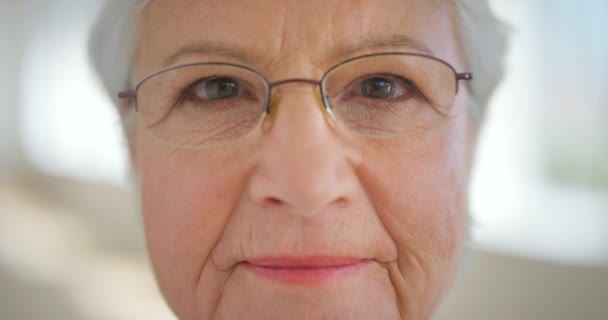 Closeup face of a senior womans eyes with glasses to improve her vision. Portrait of an elderly lady with spectacles to help with eyesight or nearsightedness. Older woman with a positive attitude. - Filmagem, Vídeo