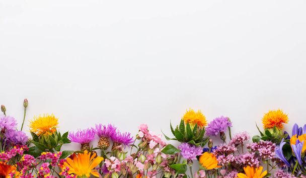 Квітковий трав'яний візерунок з польовими квітами, зеленим листям, гілками на пастельному тлі. Плоский прошарок, вид зверху
. - Фото, зображення