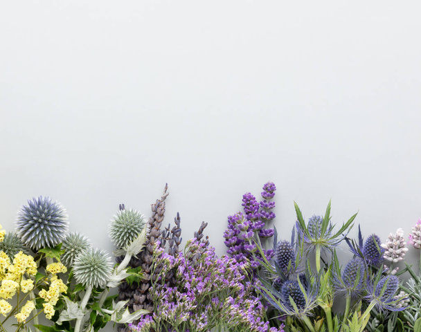 Medicinal herbs on pastel background. Top view, flat lay. Alternative medicine. Copy space for text. - Fotó, kép