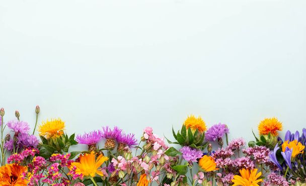 Floral herbal pattern with wildflowers, green leaves, branches on pastel background. Flat lay, top view. - Fotoğraf, Görsel
