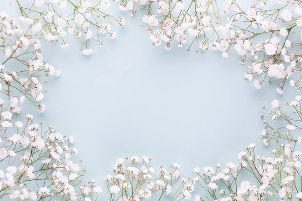 Gypsophila flowers on pastel background. Flat lay, top view, copy space. - Photo, Image