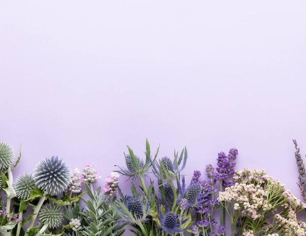 Medicinal herbs on pastel background. Top view, flat lay. Alternative medicine. Copy space for text. - Photo, image