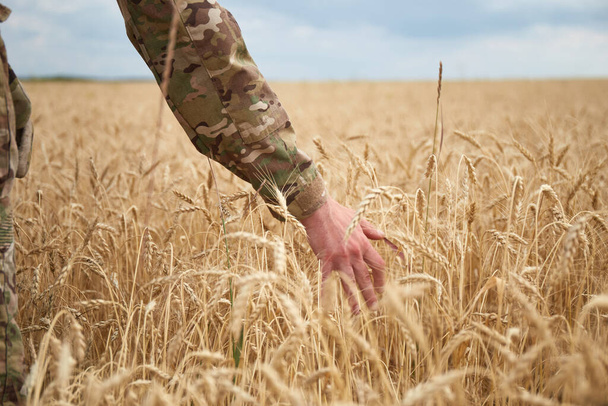 Oekraïense militair in het tarweveld. Oekraïense tarwevelden en de komende voedselcrisis. Strijdkrachten van Oekraïne - Foto, afbeelding