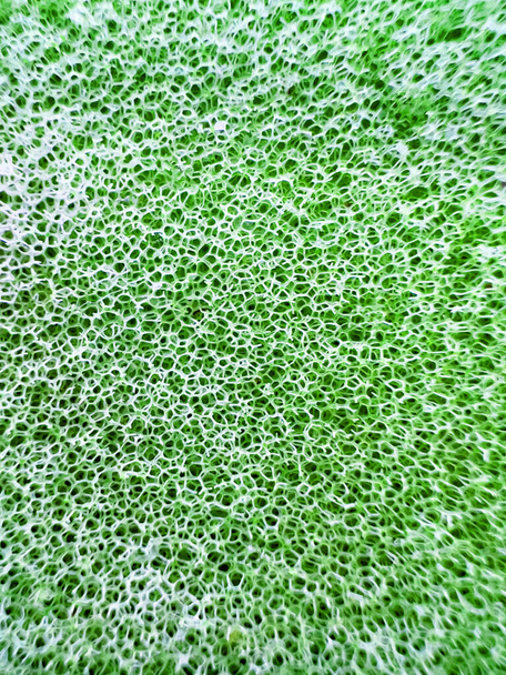 Macro close-up image of the green mop grid cells - Φωτογραφία, εικόνα