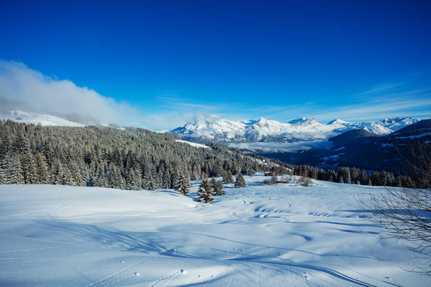 Untouched panorama of the winter alpine landscape - fir forest after snowfall, French Alps Mont Blanc massif in light clouds - Fotó, kép