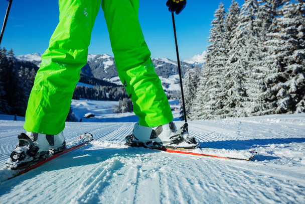 Close photo of the alpine skier with focus on the ski between legs stand on the track over beautiful snowy forest after snowfall on background - Fotografie, Obrázek