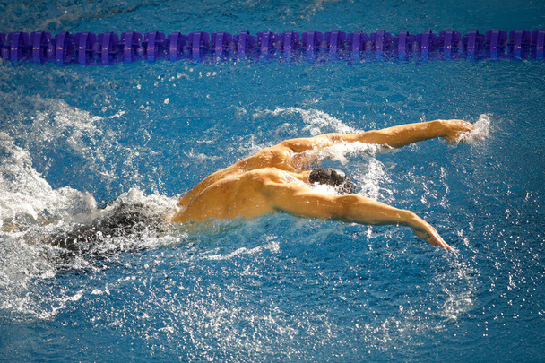 Szczegóły z profesjonalnym sportowcem pływającym w olimpijskim basenie w stylu motylkowym. - Zdjęcie, obraz