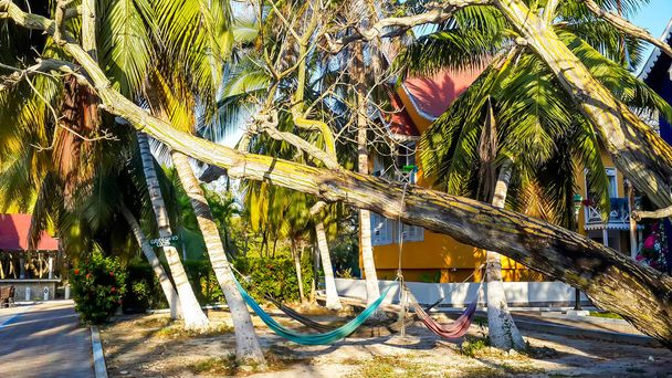 Hammock hanging on palm trees outside a tropical resort on Isla Rosario Archipelago, comprising 27 islands located about two hours by boat from Cartagena de Indias, Colombia, South America - Foto, afbeelding
