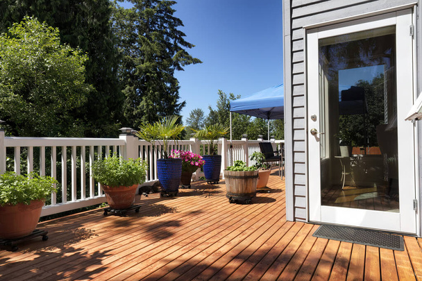 Hogar patio trasero con jardín y plantas en macetas durante la temporada de crecimiento de verano  - Foto, Imagen
