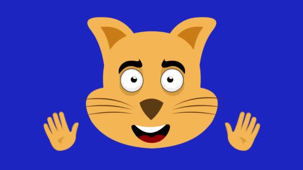 Animacja pętli twarzy kreskówkowego kota, ze szczęśliwym wyrazem twarzy i machając rękami. Na tle niebieskiego klawisza - Materiał filmowy, wideo