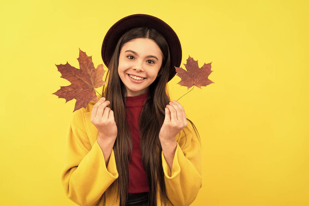 happy child in hat and coat with autumn maple leaves on yellow background, autumn. - Photo, Image