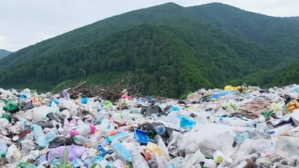 Műanyag hulladéklerakó egy zöld erdő közepén a Kárpátokban, Ukrajnában. A műanyagok ártalmatlanításával járó környezeti katasztrófa fogalma - Felvétel, videó