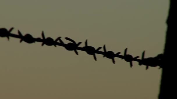 Silhouette of Barbed Wire Fence against the Sunset. Close Up. - Materiaali, video