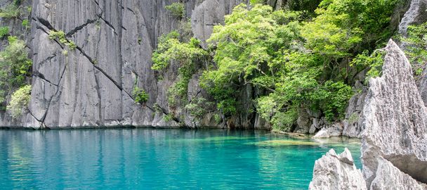 Pristine water at Barracuda Lake, Coron, Palawan. Surrounded by limestone cliffs, a popular tourist attraction and diving spot in the Phillipines. - Foto, Bild
