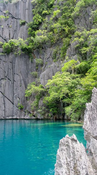 Pristine water at Barracuda Lake, Coron, Palawan. Surrounded by limestone cliffs, a popular tourist attraction and diving spot in the Phillipines. - Foto, Bild