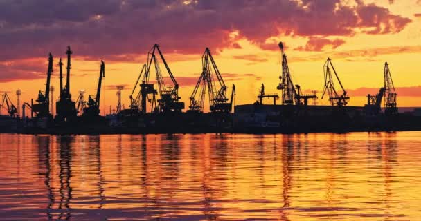 Západ slunce nad průmyslovými jeřáby v námořním přístavu Varna, Bulharsko. Scénický pohled na město. - Záběry, video
