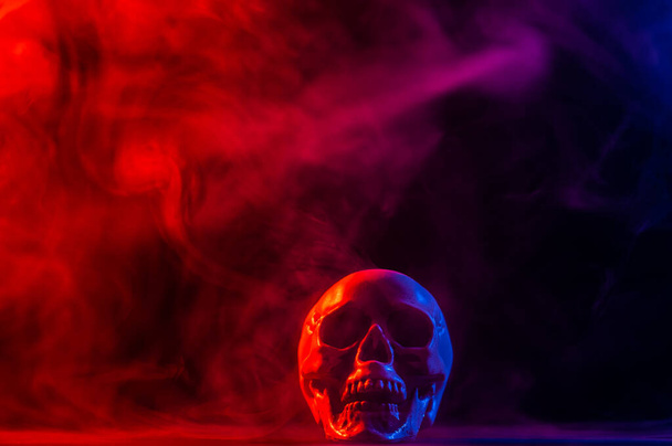 Human skull in pink and blue smoke on a black background. Halloween - Photo, image