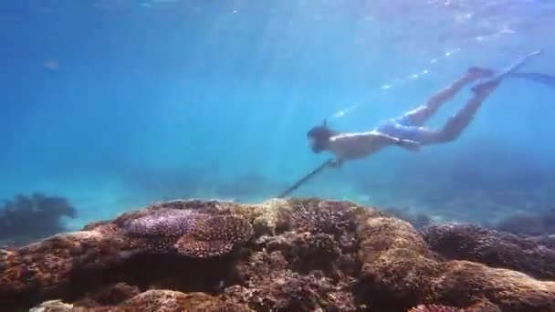Vidéo 4k d'un jeune homme confiant faisant de la plongée avec tuba tout en tenant une lance de pêche au fond de l'océan. - Séquence, vidéo