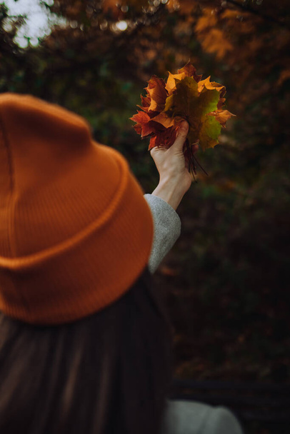 Una mujer sostiene hojas de arce coloridas en su mano. - Foto, Imagen