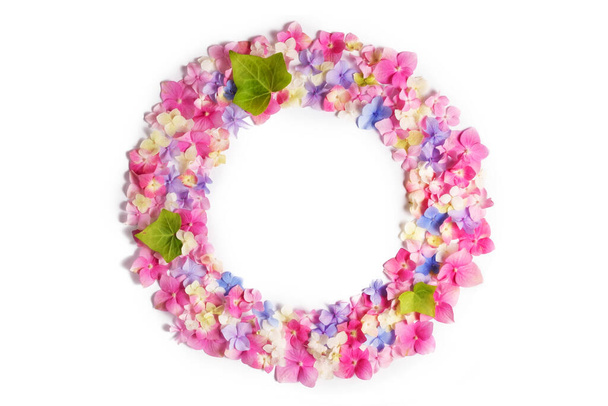 Flower composition. Wreath of colorful hydrangea flowers and green leaves isolated. Flat lay, top view, copy space. Festive summer or spring background. Flower composition. - Photo, Image