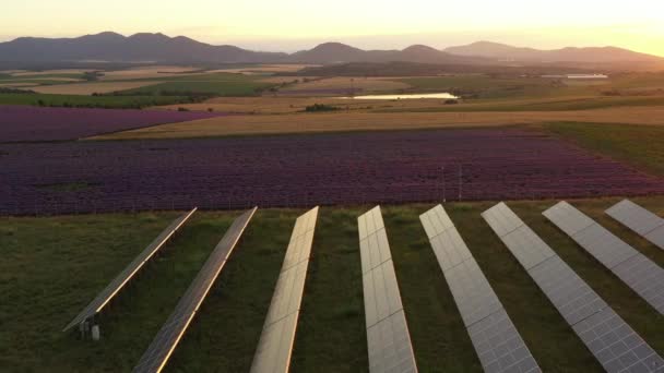 Вид с воздуха на красивые сельскохозяйственные поля и фотовольтаику - Кадры, видео