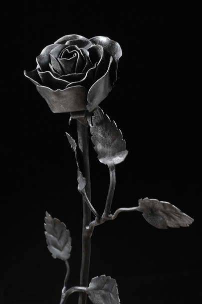 Rose de fer forgé noir
 - Photo, image