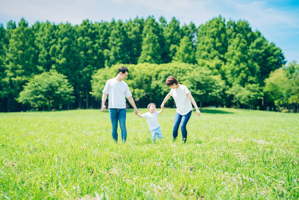 батьки і їхня дитина тримають руки і ходять в сонячно-зеленому просторі в прекрасний день
 - Фото, зображення