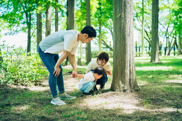 Boy and parents exploring the woods on fine day - Fotografie, Obrázek
