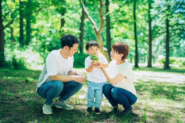 A family with a small potted plant in the woods on fine day - Fotoğraf, Görsel