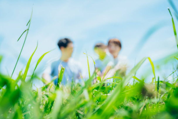 Out-of-focus shooting of parents and child sitting on a green space in fine weather - Photo, image