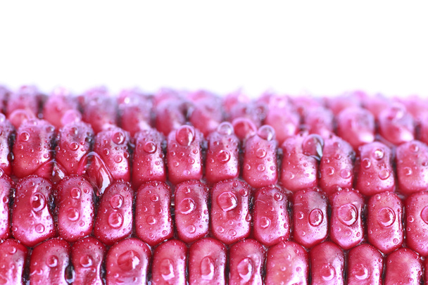 Purple Corn - Stock Image - Photo, Image