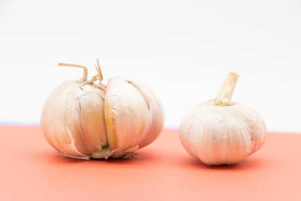 two fresh garlic over on pink background - 写真・画像