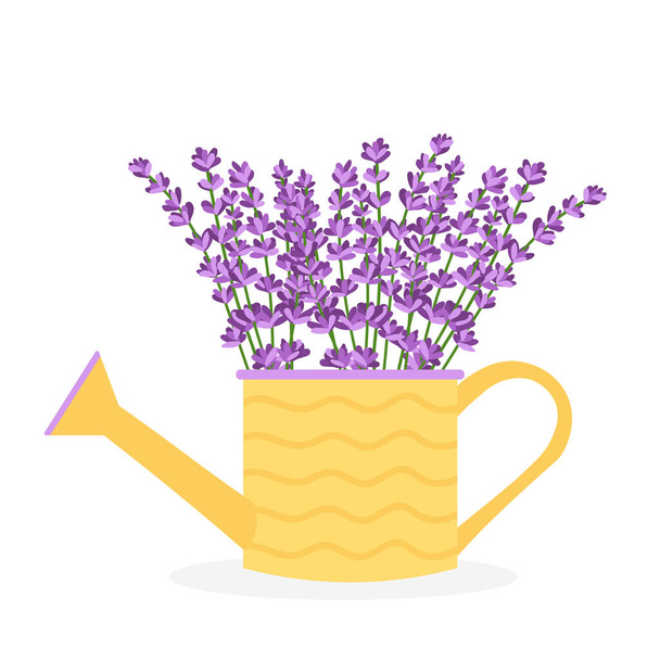 Lavender flowers in a yellow watering can. Vector illustration isolated on white background. - Vetor, Imagem