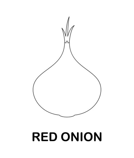 Coloring page with Red Onion for kids - Vektör, Görsel