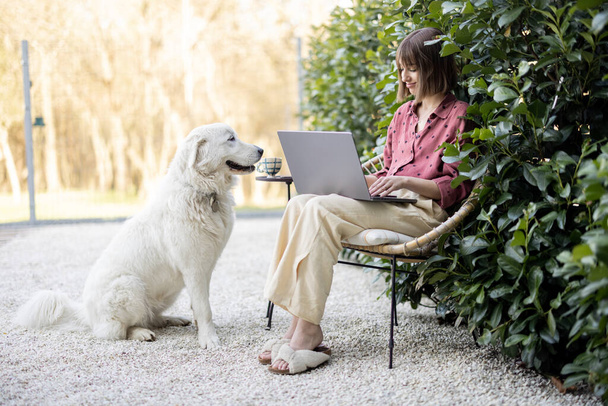 Genç bir kadın dizüstü bilgisayarda çalışırken arka bahçede sevimli köpeğiyle koltukta rahatça oturuyor. Uzaktan çalışma ve evcil hayvanlarla arkadaşlık kavramı - Fotoğraf, Görsel