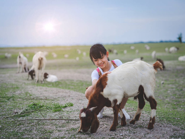 Asian girl feeding goats in a field with smiley face and happy.Concept of children and animal husbandry - Photo, Image