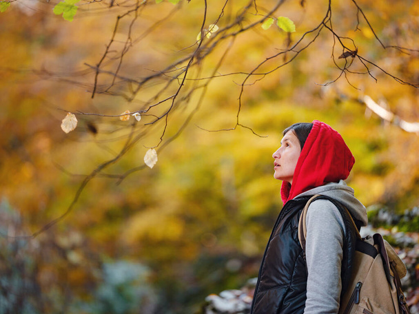 Travel and road trip concept at autumn. Adventure and active lifestyle in nature. Tourist hiking in forest. Asian woman in red hoodie walks in forest. Wanderlust concept. - Photo, Image