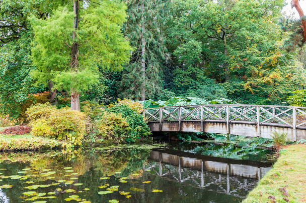 Малий дерев "яний міст через водосховище в парку Таттон, історичному маєтку в Чеширі (Англія).. - Фото, зображення