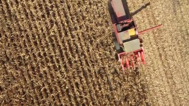 Above top view with dolly move of agricultural harvester as cutting and harvesting mature corn on farm fields. - Imágenes, Vídeo