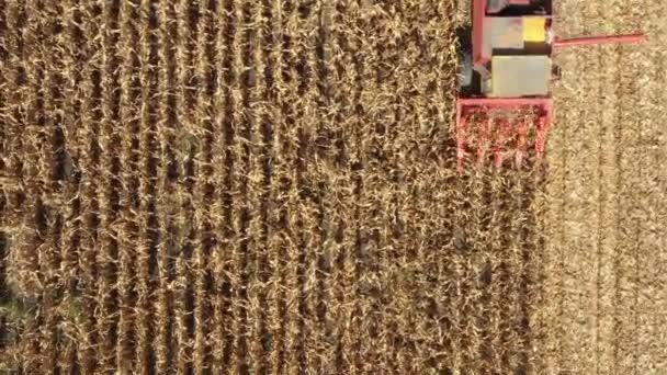 Above top view with dolly move of agricultural harvester as cutting and harvesting mature corn on farm fields. - Video