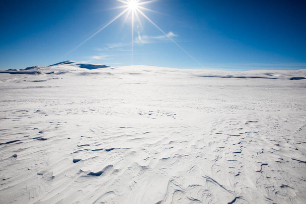 Winter landscape in Dovrefjell National Park, south Norway. - Foto, Bild