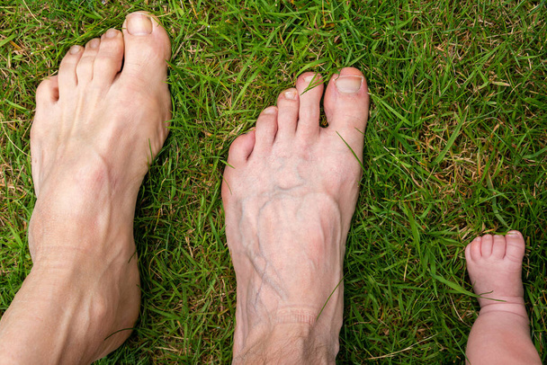 Males feet, three different generations, old, adult and newborn, family together - Foto, Imagem