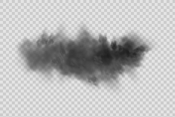 Realistic vector isolated on transparent background. Dust cloud with dirt,cigarette smoke, smog and soil.Concept house cleaning, air pollution,big explosion,desert sandstorm. - Διάνυσμα, εικόνα