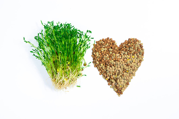 Φρέσκα νεαρά βλαστάρια φακές μικροπράσινο με ρίζες κοντά σε σπόρους σε σχήμα καρδιάς. Λευκό φόντο. Κλείσε. Έννοια της διατροφής, χορτοφαγία, vegan, υγιεινά προϊόντα και σωστή διατροφή. Αντιγραφή χώρου. - Φωτογραφία, εικόνα