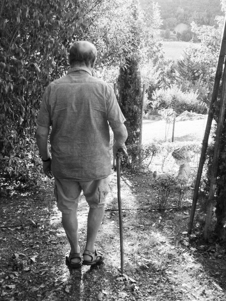 oude man met hemelpool rondlopend in tuin en boerderij in het zomerseizoen - Foto, afbeelding
